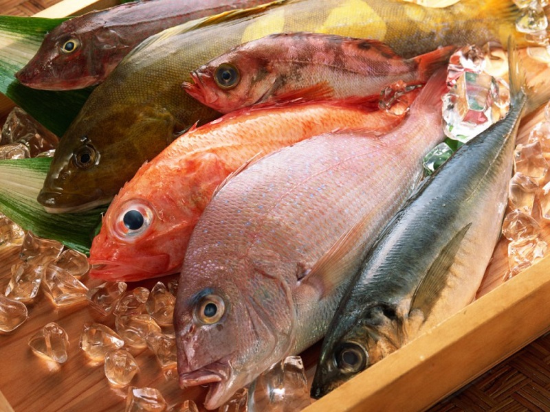 Казахстан мог бы экспортировать в приграничные регионы более 3 млн тонн рыбы   