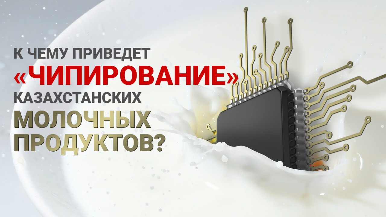 Почему казахстанские молочники против новой системы маркировки товаров? 