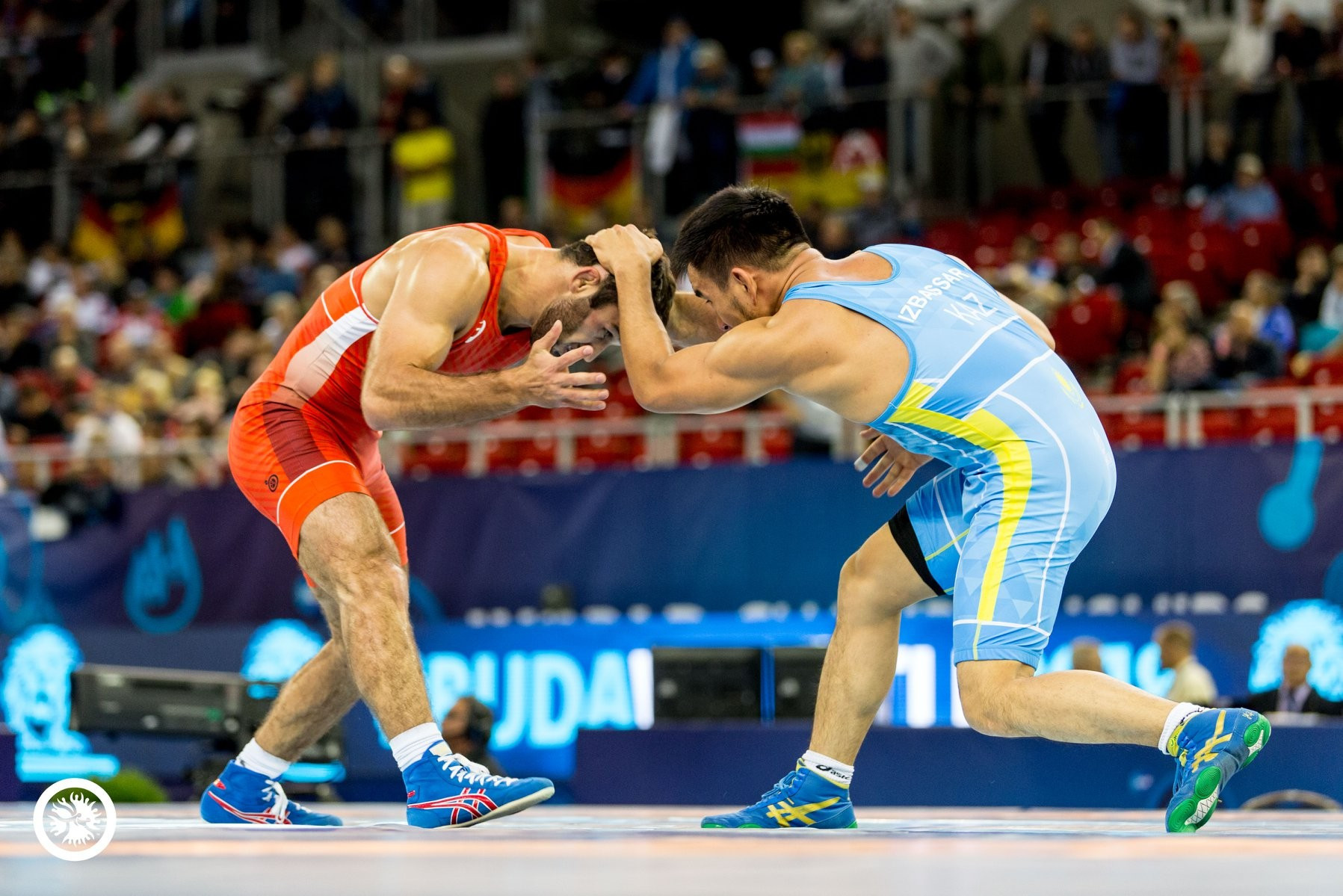 Еркін күрес балуандары ел чемпионатына дайындалып жатыр