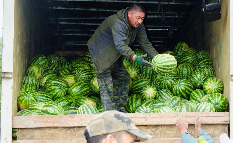 Алматинская и Костанайская области представили продукцию на ярмарке в столице 