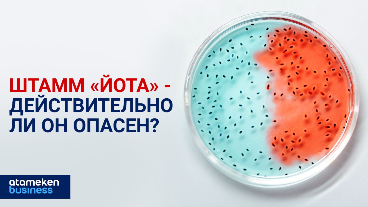 Штамм «Йота» – действительно ли он опасен? 