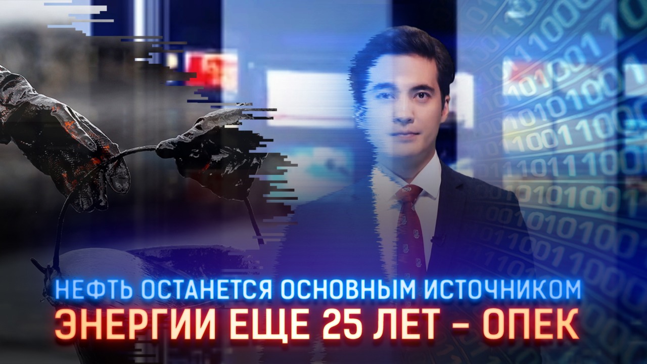 Нефть останется основным источником энергии еще 25 лет – ОПЕК   