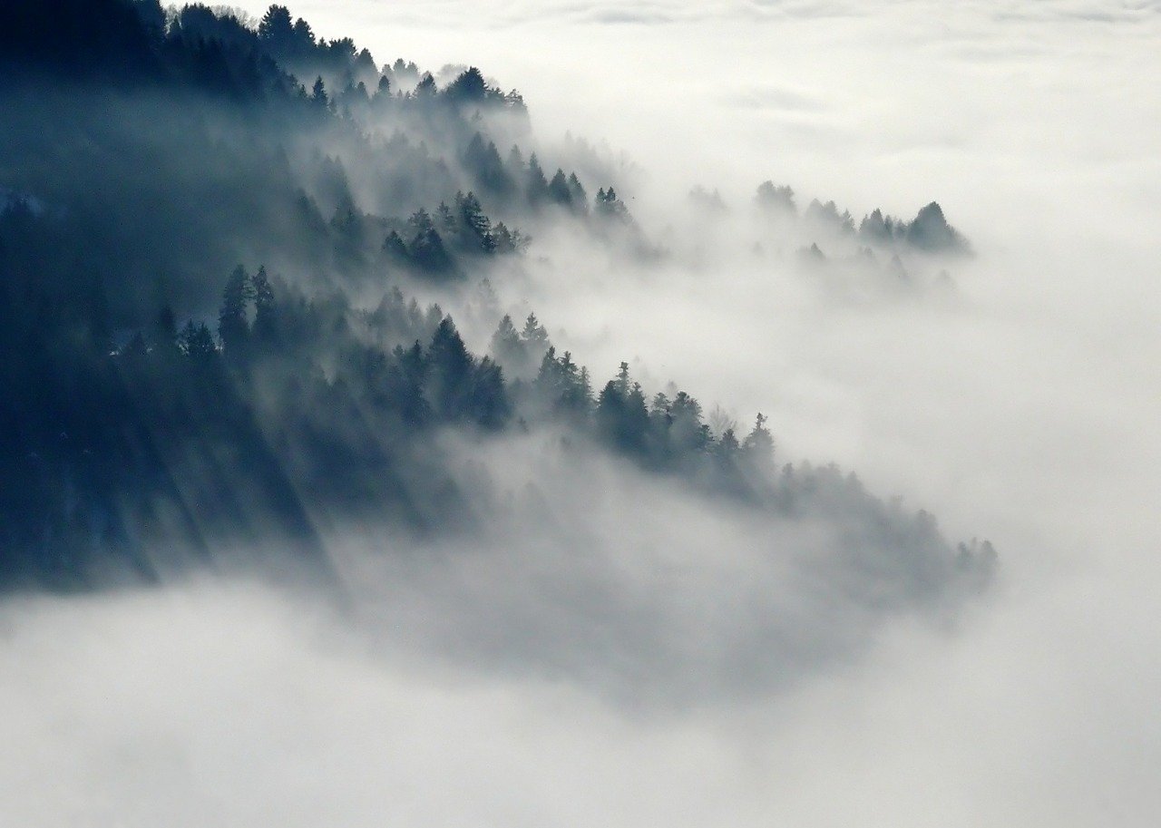 Погода в Казахстане: туман ожидается в ряде регионов страны