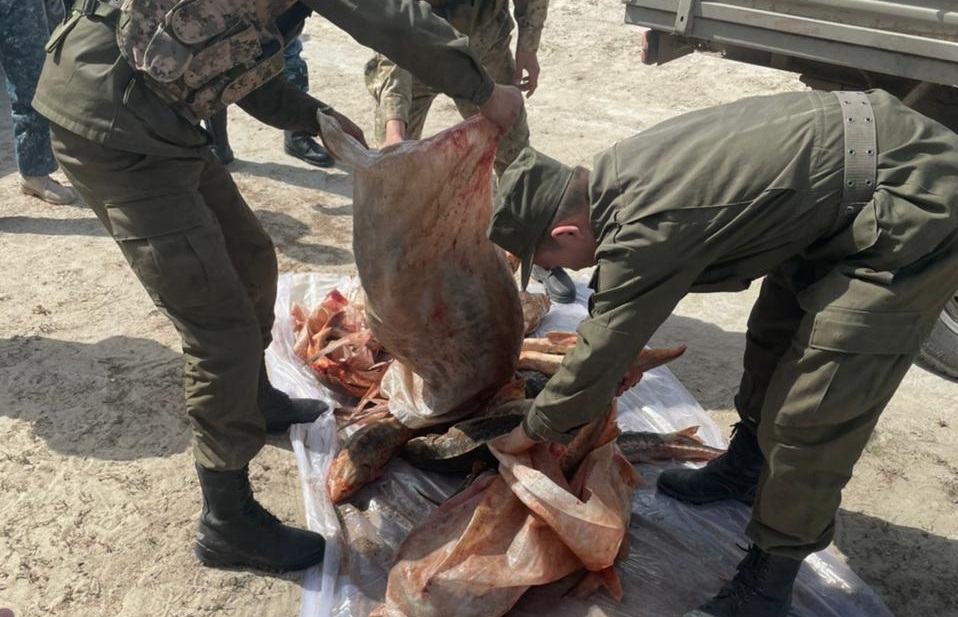 С начала месяца возбуждено 20 уголовных дел по фактам браконьерства