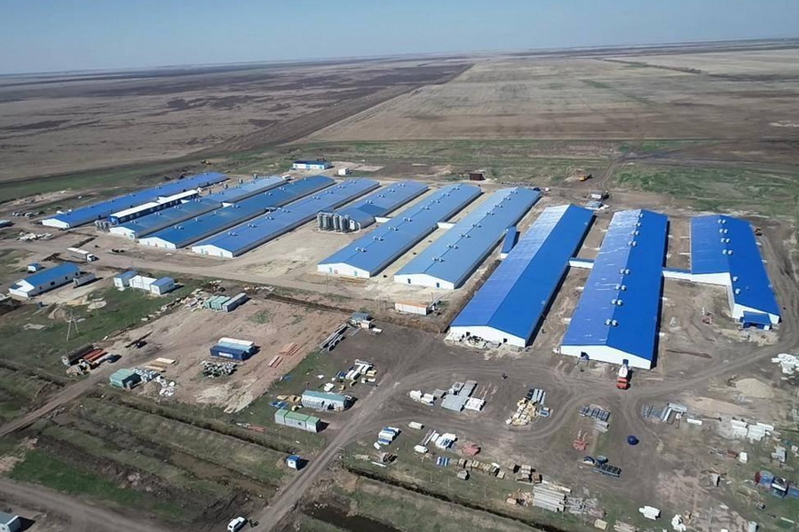 Когда в СКО планируют запустить свинокомплекс стоимостью 5 млрд тенге  