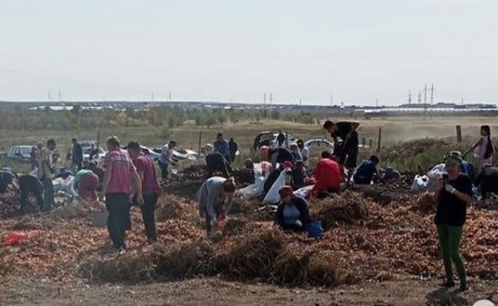 Ақтөбеде тұрғындар мен полицейлер сәбізге таласып қалды 