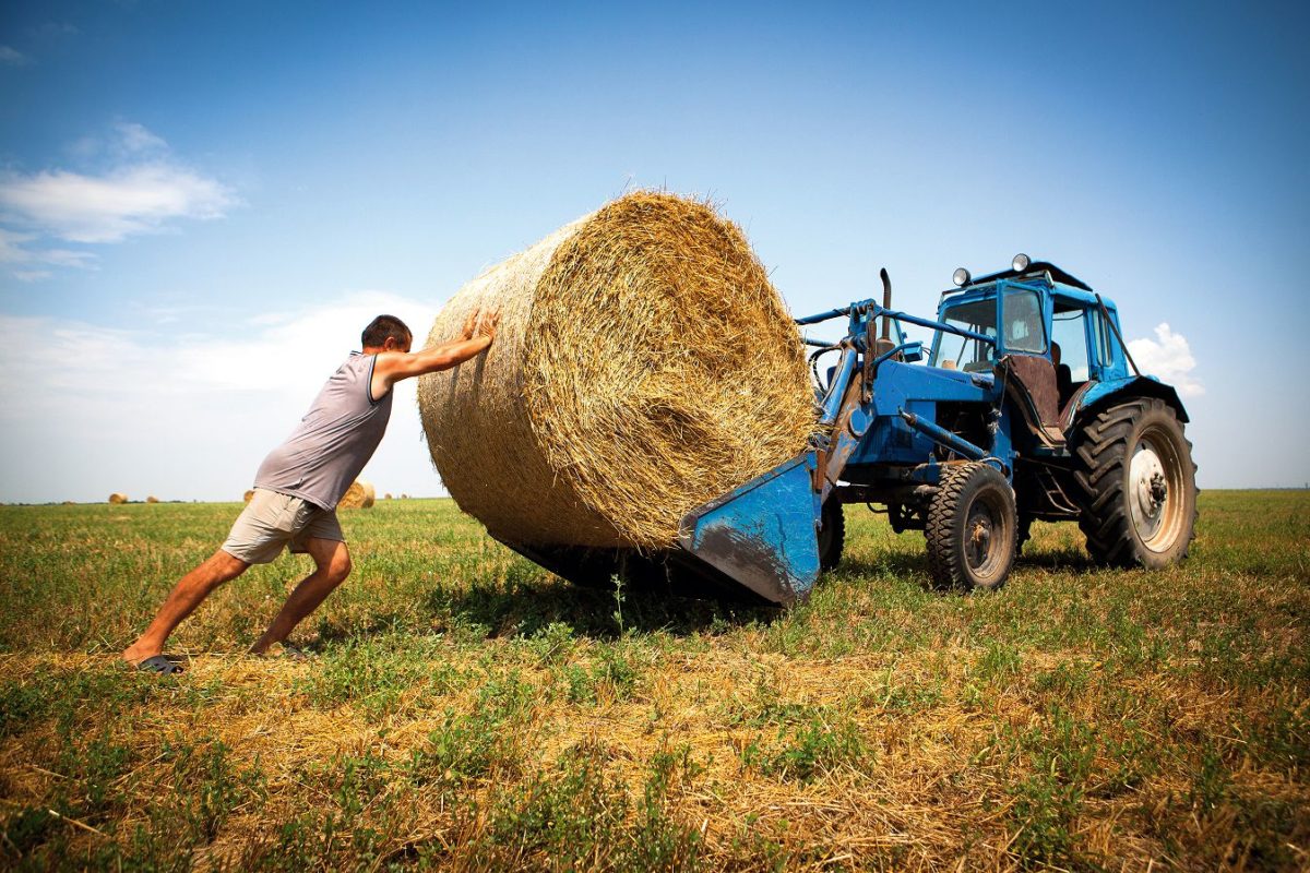 Среди казахстанских фермеров растет спрос на кредитование   