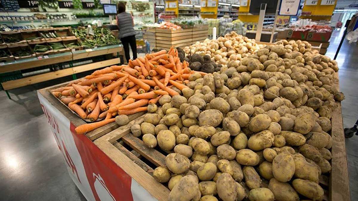 Павлодарскую область обещают обеспечить картофелем и морковью до мая следующего года  