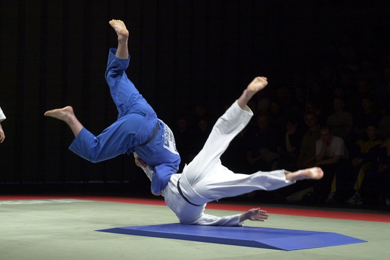 IJF приостановила свое соревнование для болельщиков "Бросок в Токио"  