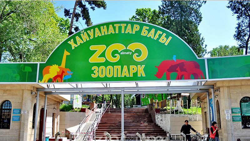 Алматы хайуанаттар бағының жұмысы қайта жанданды