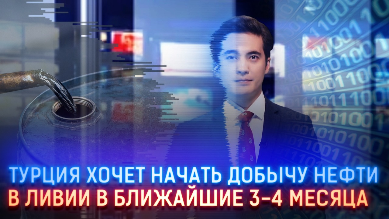 Власти Турции планируют начать добычу нефти в Ливии в ближайшие три-четыре месяца  