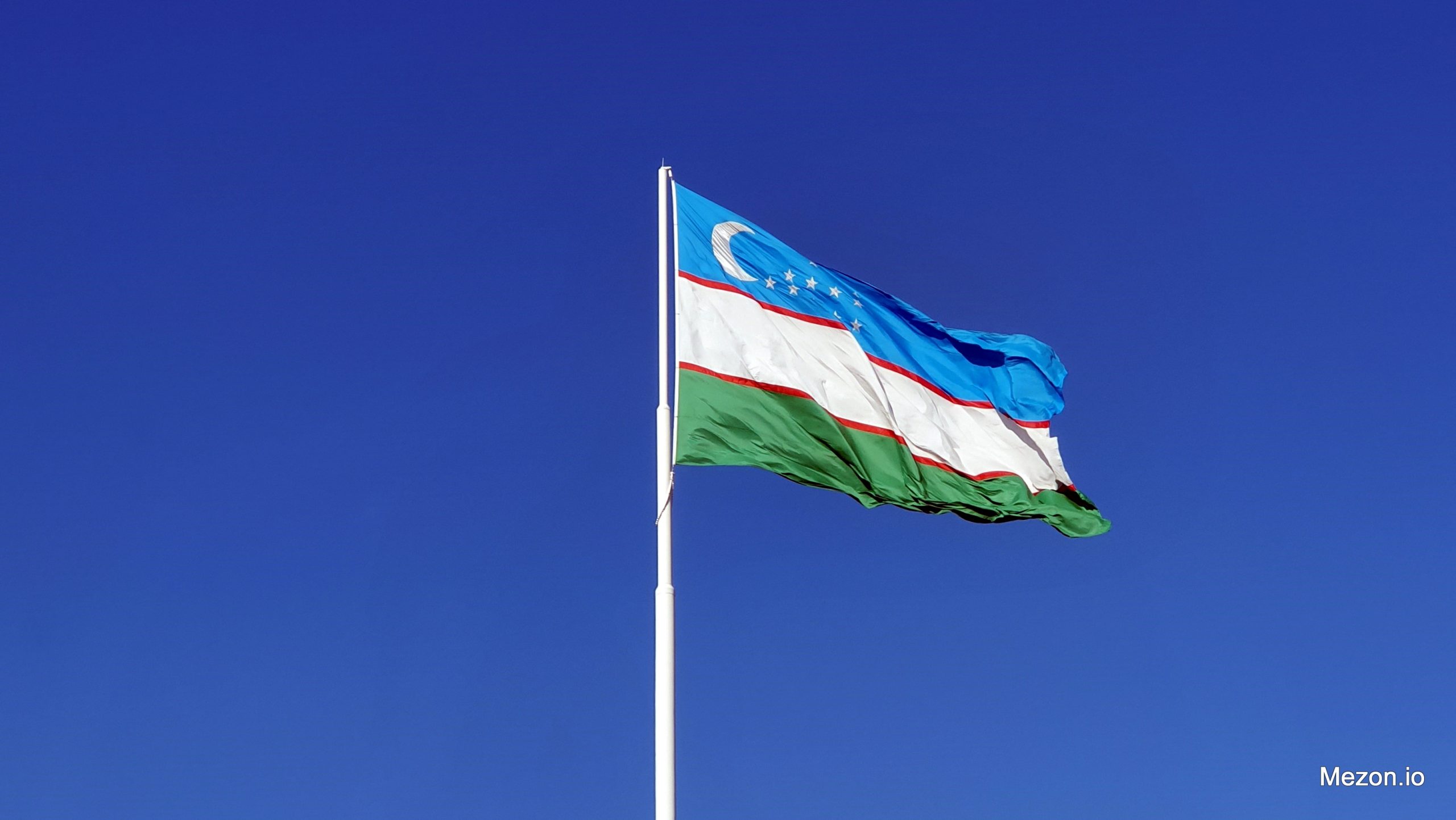 Когда состоятся президентские выборы в Узбекистане  