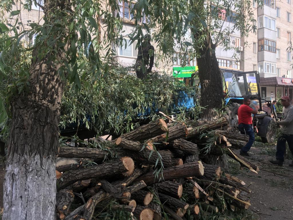 Аким Павлодара решил опираться в принятии решений на народ