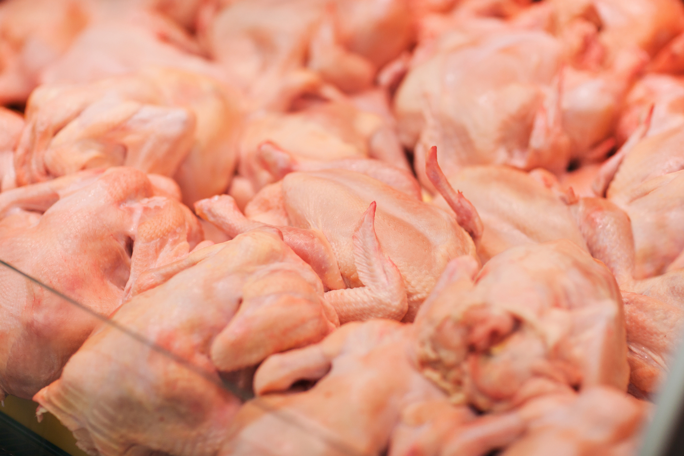 РК, РФ и Белоруссия намерены обсудить проблемы с транзитом в Казахстан мяса птицы из США