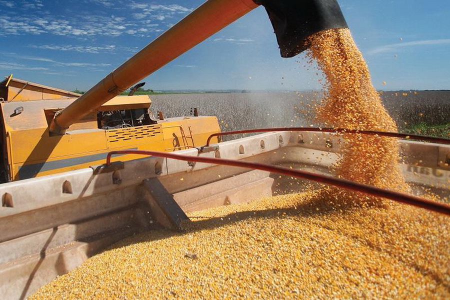 Казахстан в октябре экспортировал более 860 тысяч тонн зерна и муки 
