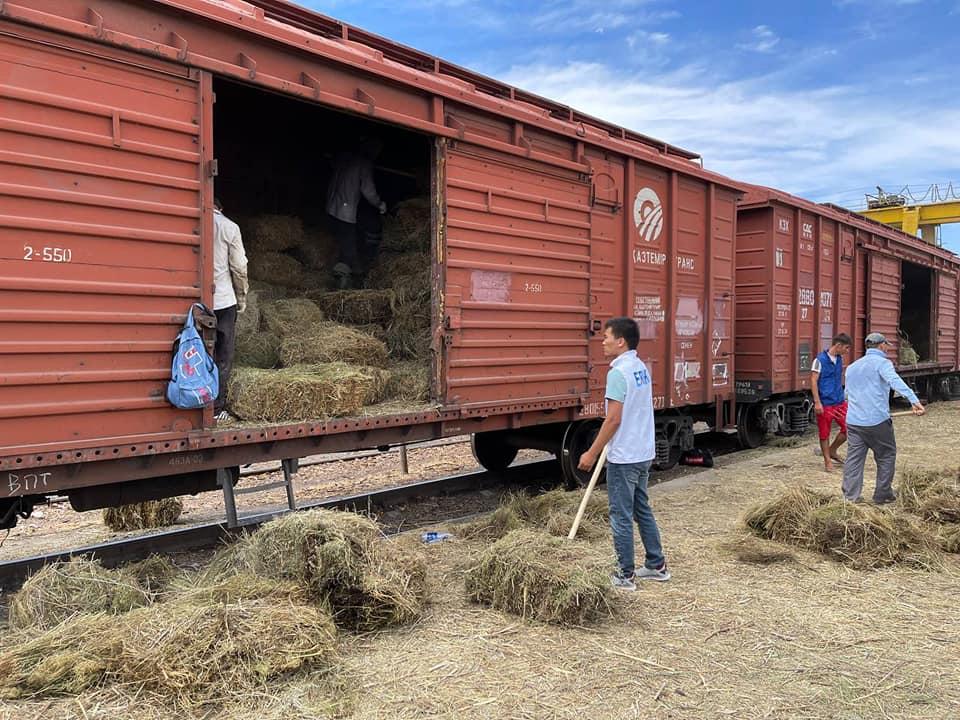 177 вагон шөп еліміздің батысына жеткізілді 