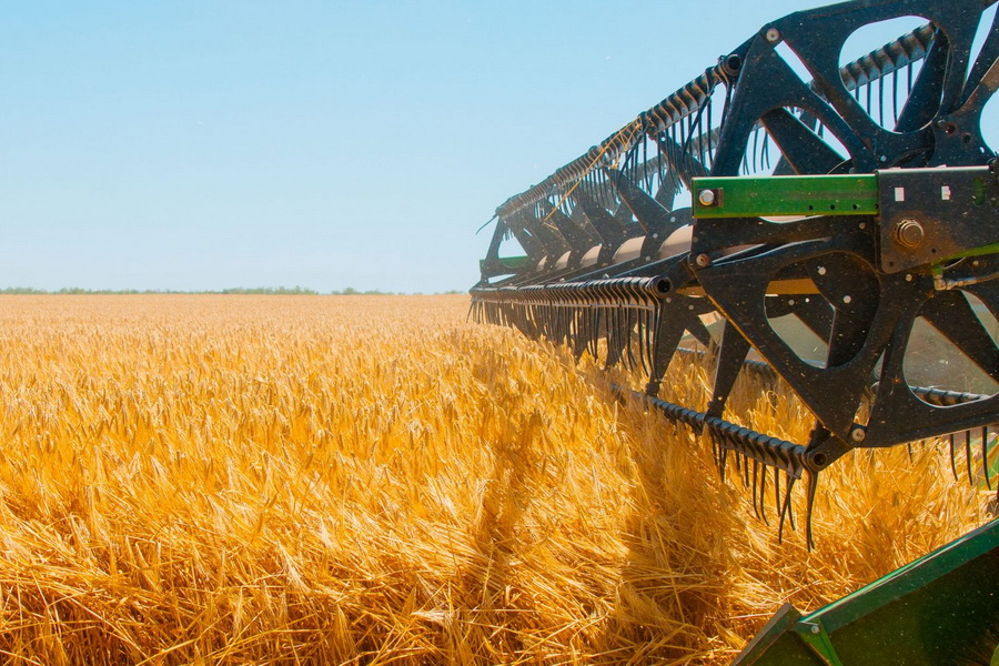 В Казахстане убрано 92,6% зерновых  
