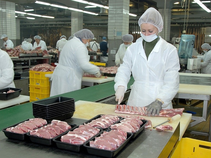 В РК почти треть всей животноводческой продукции обеспечили два региона  