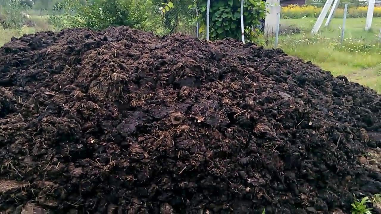 Зачем украинцам посоветовали запасаться навозом  