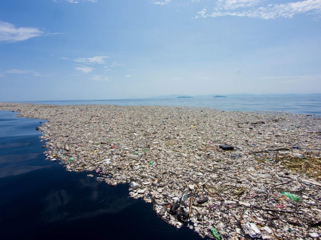 Исследователи выявили бактерии, которые помогут очистить море от пластиковых отходов  
