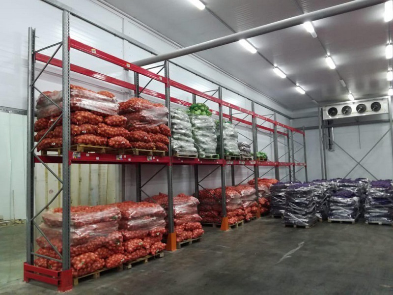 Казахстану не хватает складов для хранения 2,8 млн тонн овощей  