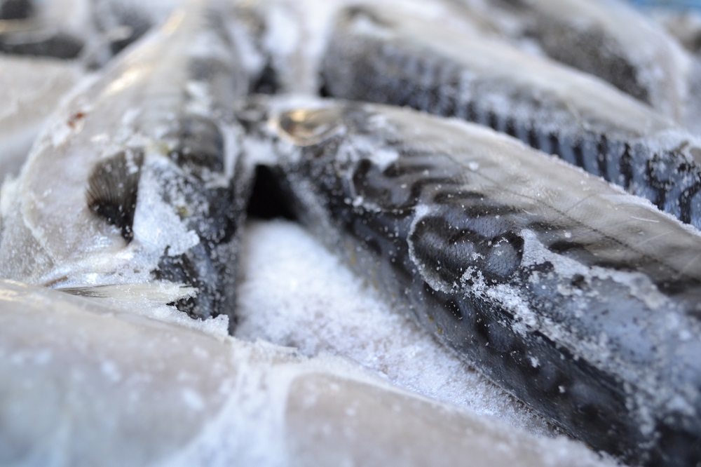 В Казахстане растет производство свежей и мороженой рыбы  