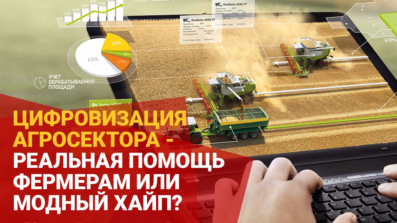 Цифровизация агросектора – реальная помощь фермерам или модный хайп?  