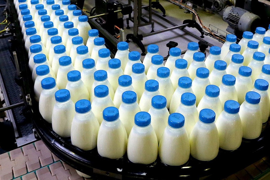 Расходы на маркировку молочной продукции в РК ежегодно составят 3,3 млрд тенге