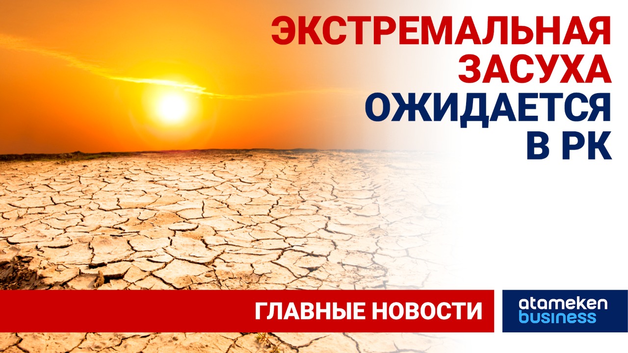 Сильный зной, падеж скота: в Аральском районе введут режим ЧС