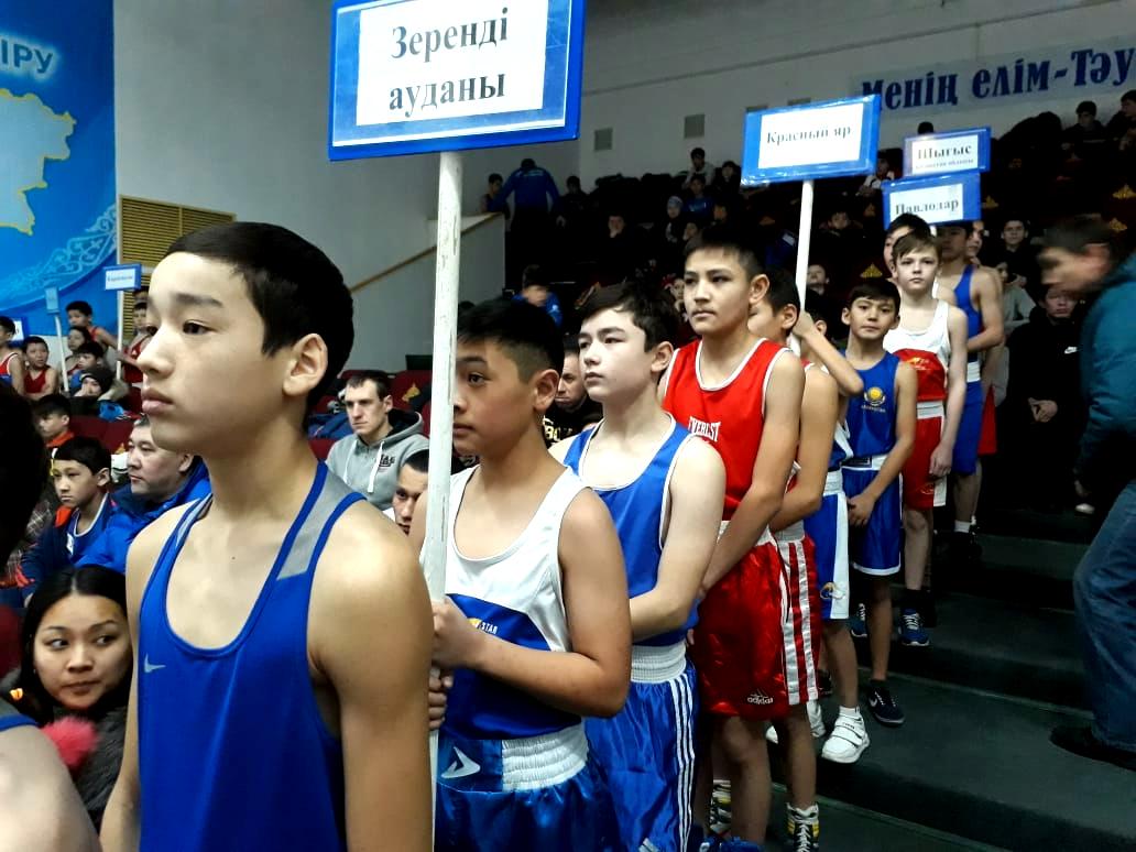 В Акмолинской области состоялся республиканский турнир по боксу    