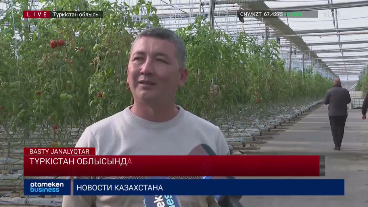 Түркістан облысында көмір тапшы 