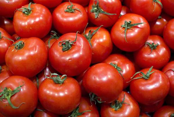 В МСХ назвали вымыслом сообщения о вирусах в казахстанских томатах 