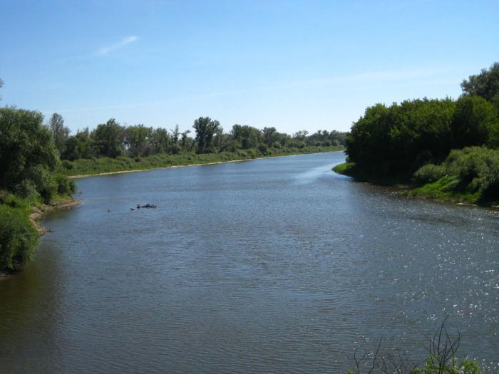 Экология министрлігі ірі өзендердің қайсысы уланғанын анықтады 