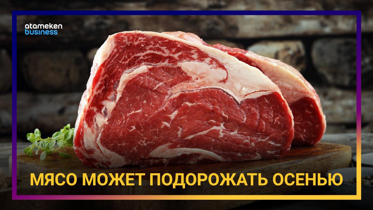 Инвестиции в мясное производство: какую выгоду получит потребитель?  