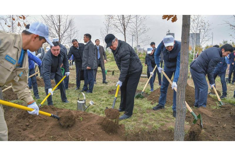 Мемлекет басшысы елордада ағаш екті 