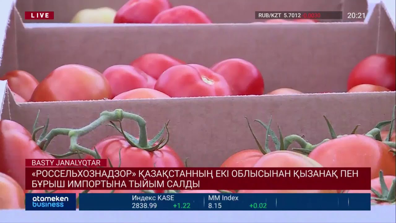 "Россельхознадзор" Қазақстанның екі облысынан қызанақ пен бұрыш импортына тыйым салды 