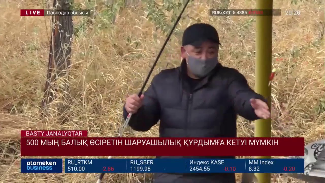 500 мың балық өсіретін шаруашылық құрдымға кетуі мүмкін 