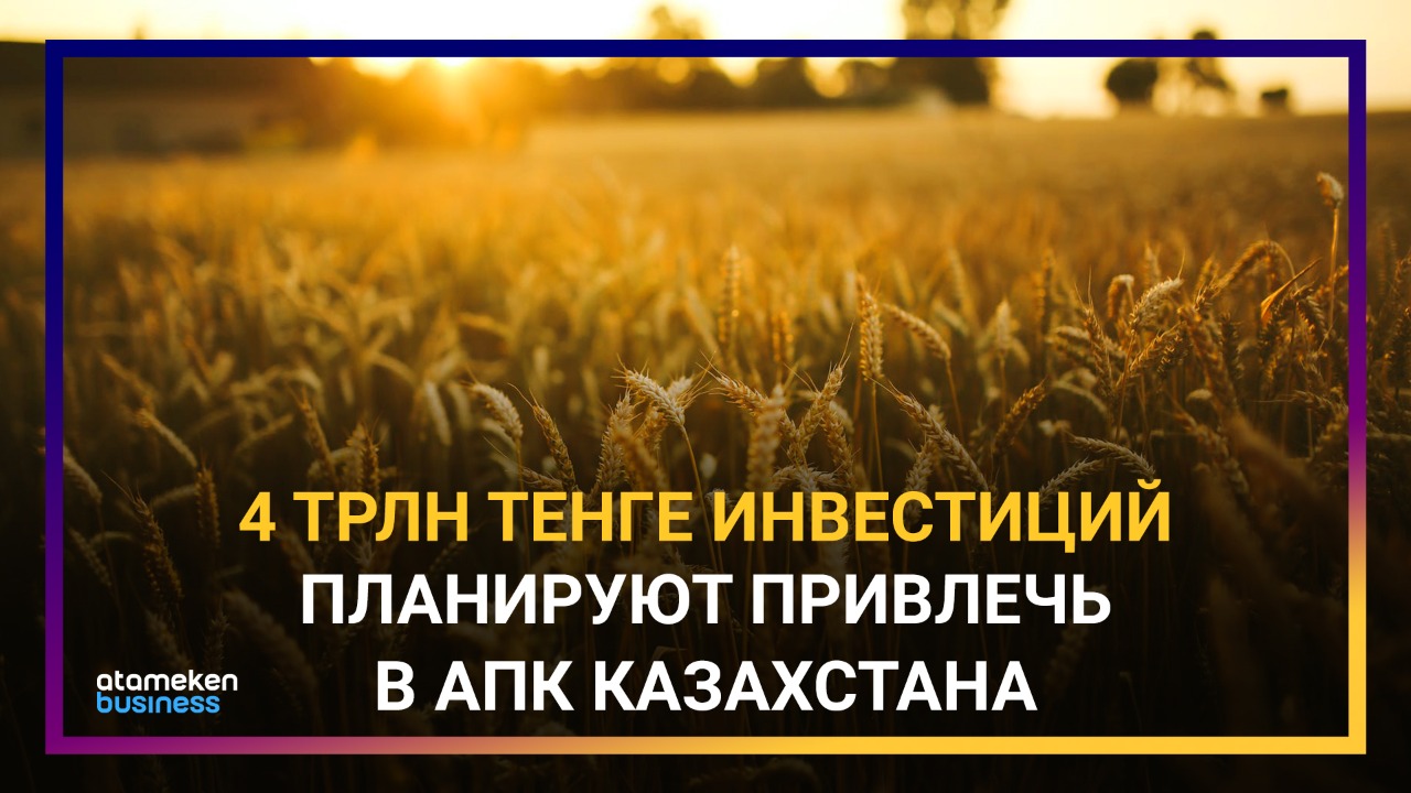 Правительство взялось за агросектор: какие новые проекты предлагает минсельхоз?