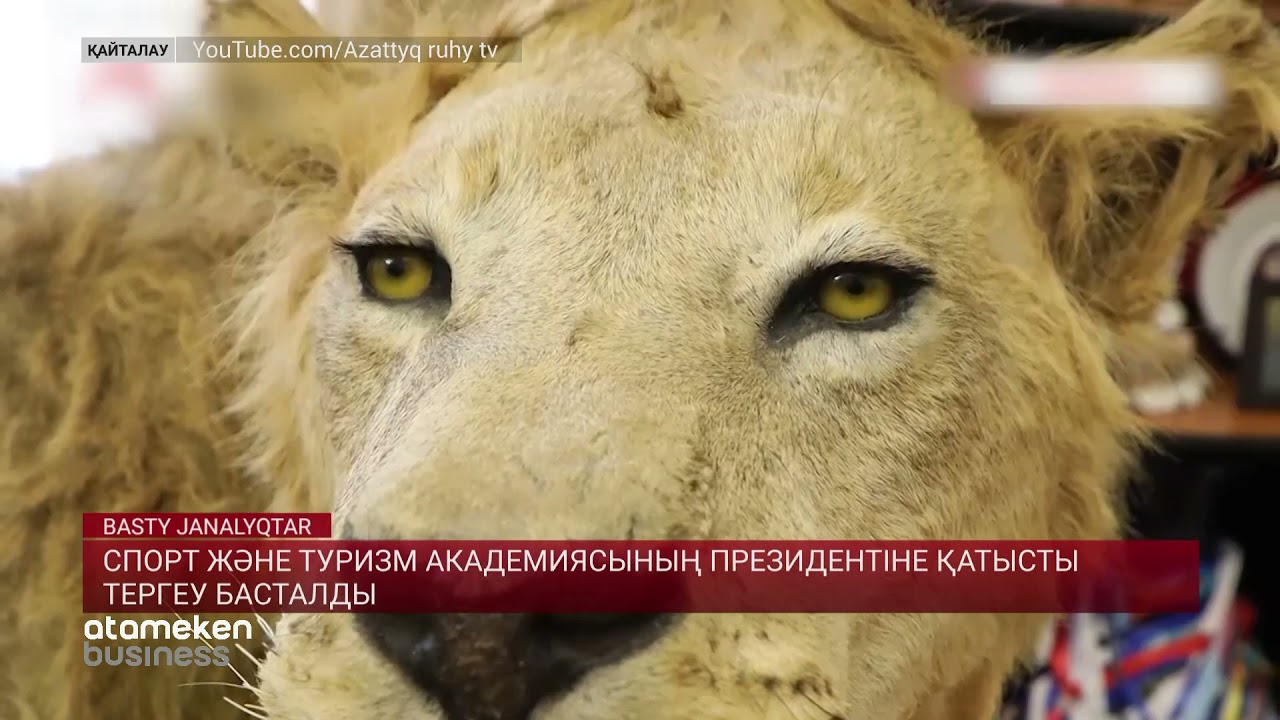 Спорт және туризм академиясының президентіне қатысты тергеу басталды 