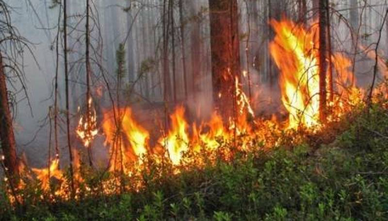 В Павлодарской области подсчитали ущерб от пожаров за полгода