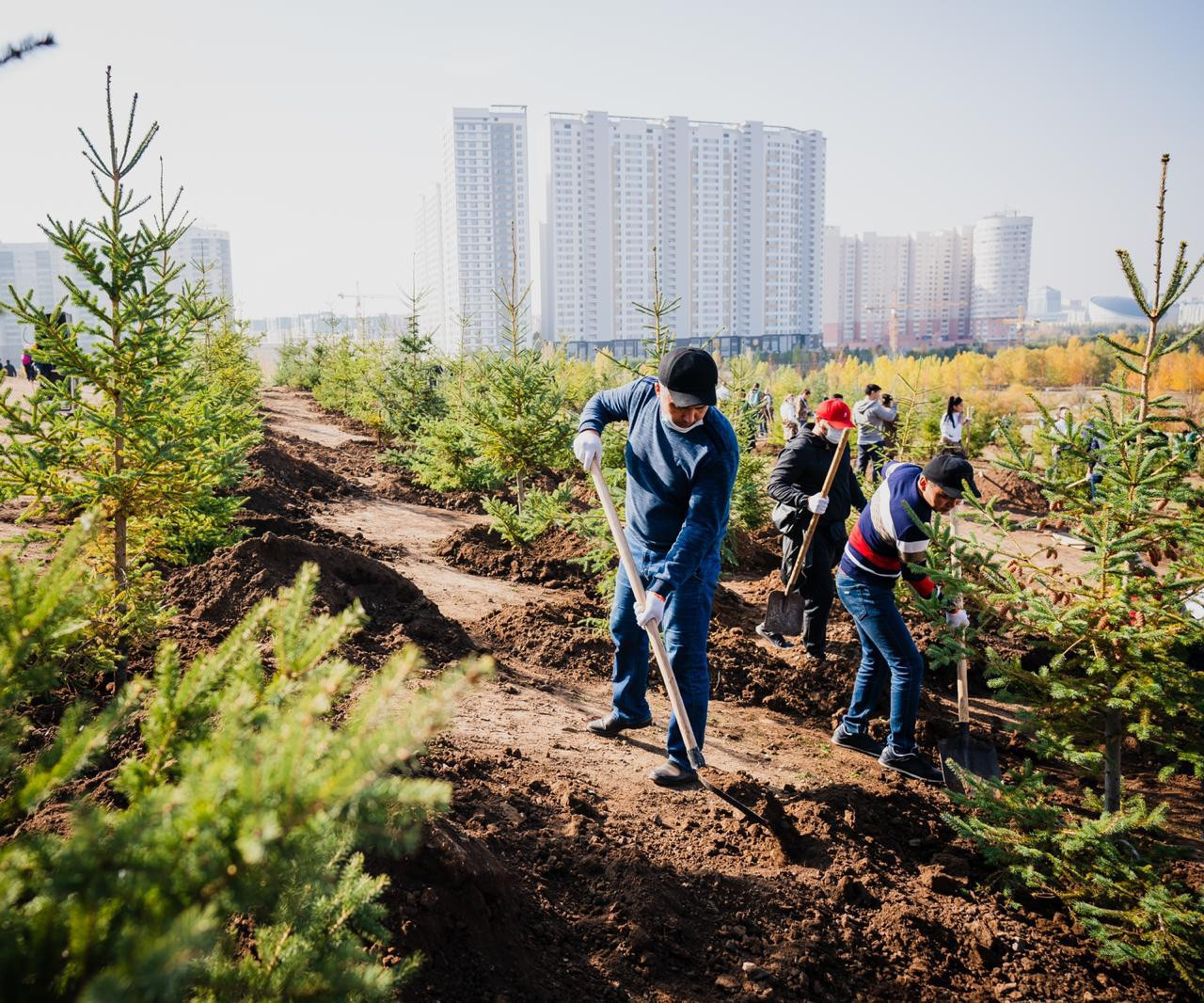 Экологических зон становится больше в Нур-Султане