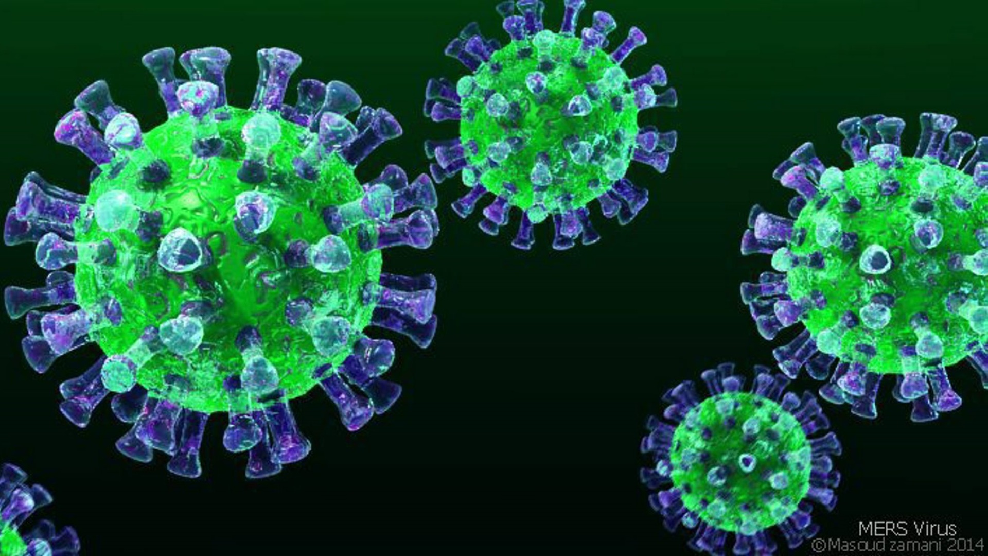 ҚР ДСМ: Қазақстанда коронавирустық инфекция тіркелген жоқ  