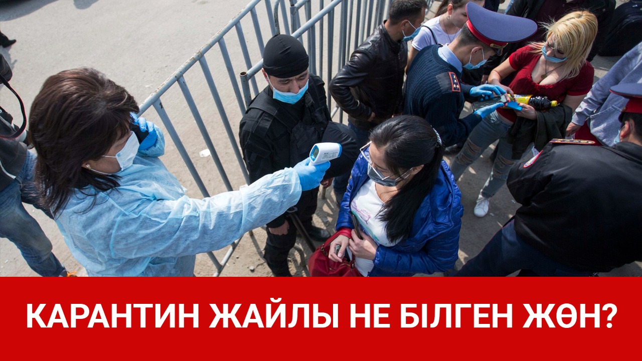 Карантин жайлы не білген жөн? 