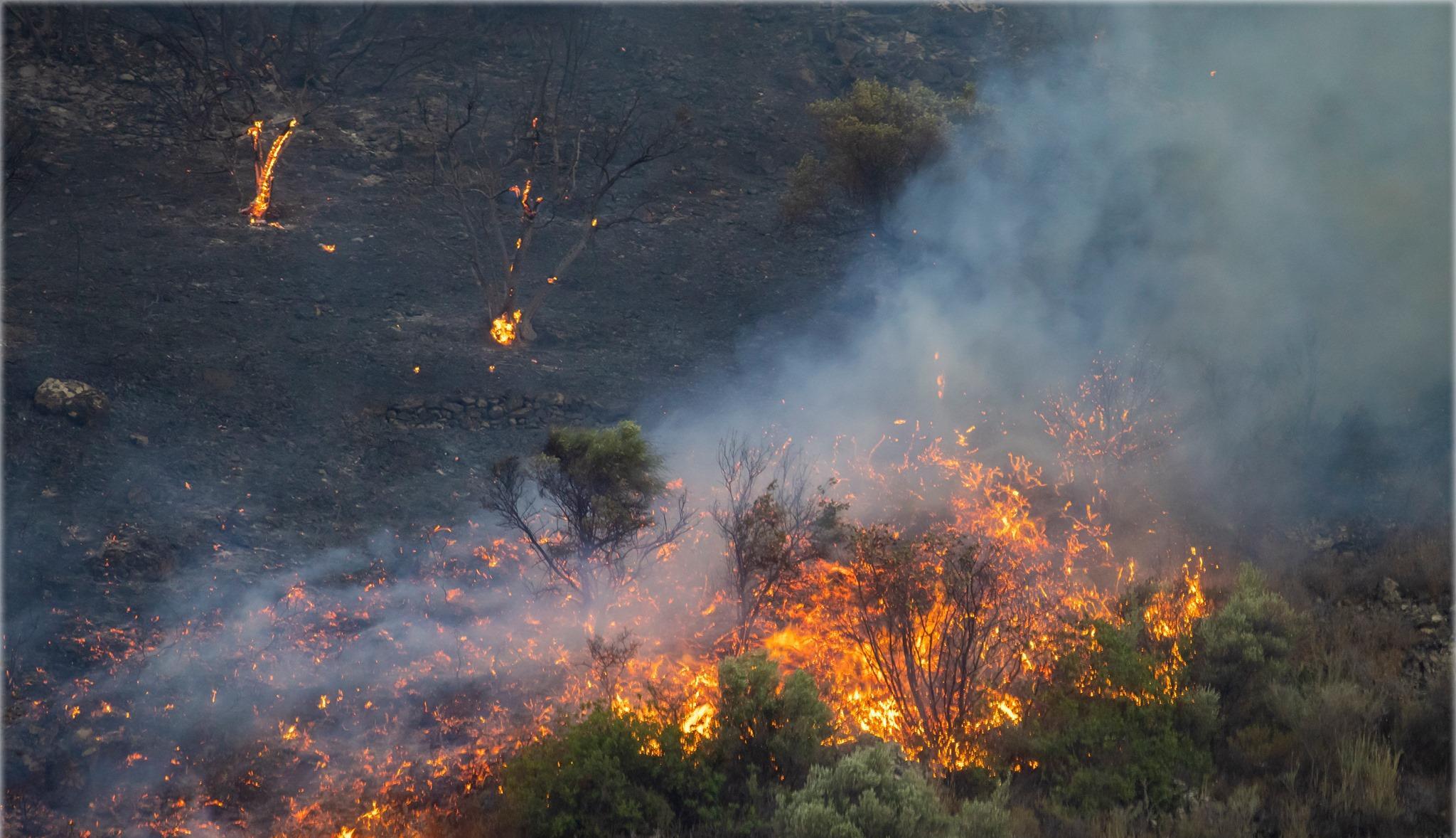 Кипр столкнулся с сильнейшим за десятилетия лесным пожаром