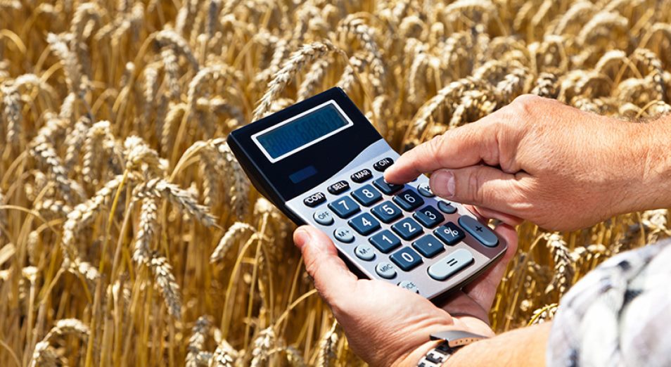 Фермеры – о льготном кредитовании: «Говорят, что денег нет»