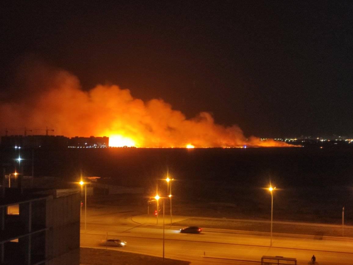 Сухостой горит в районе Есиль в Нур-Султане