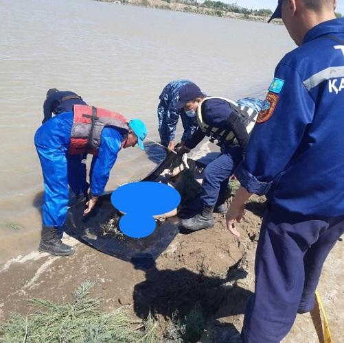 В Кызылорде утонула 13-летняя девочка