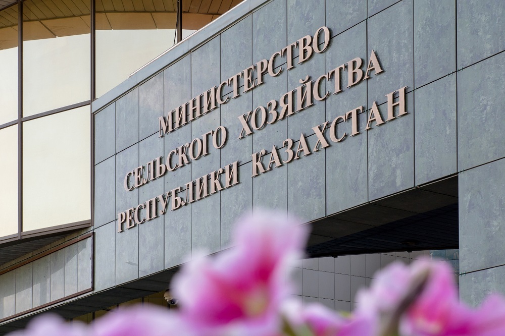Введение РФ квот на поставку зерновых из ЕАЭС не повлияет на казахстанский экспорт – МСХ РК  