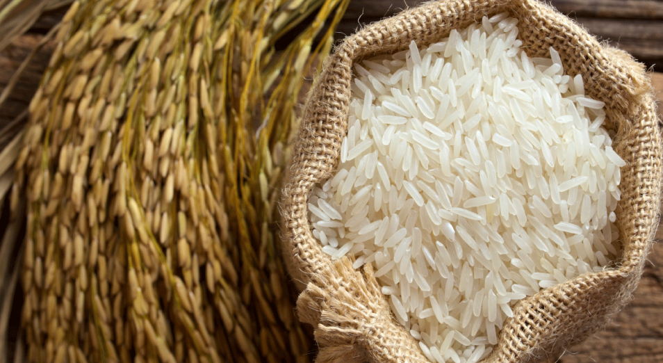 Производство риса в Казахстане растет, цены – снижаются