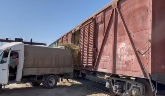 Маңғыстау облысына 400 вагоннан астам шөп жеткізілді – ҚТЖ